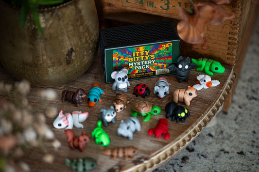 ❓Itty Bitty Mystery Pack – 10 Mini Articulated Fidget Toys for Kids(Random Surprise Set)